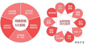 探索湖南網(wǎng)絡(luò)廣告多樣形態(tài)與專(zhuān)業(yè)咨詢(xún)服務(wù) 聚焦宇善傳媒技術(shù)服務(wù)
